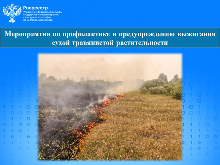 Мероприятия по профилактике и предупреждению выжигания сухой травянистой растительности.