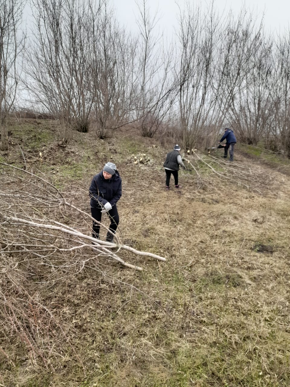 Сегодня в с.Новое по ул. Центральная состоялся субботник.