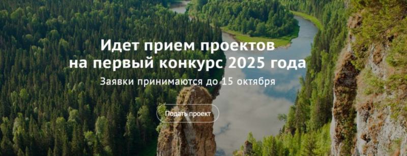 Открыт прием заявок на первый конкурс Фонда президентских грантов 2025 года.