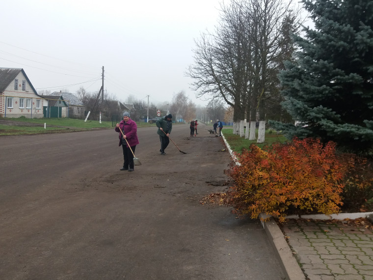Состоялся субботник. Состоялся субботник.