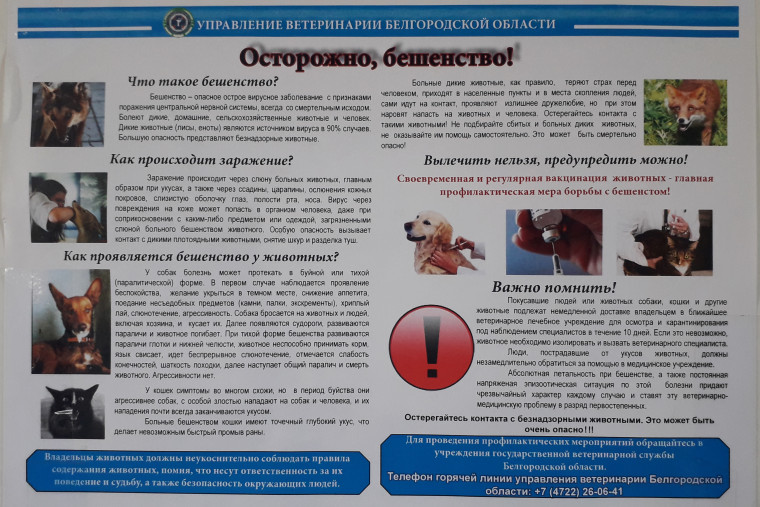Осторожно - БЕШЕНСТВО!!!!!. Осторожно - БЕШЕНСТВО!!!!!.